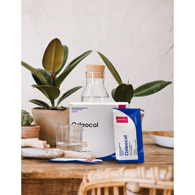 Yamamoto Research Osteocol ® 30 pak 10 000 mg 1 Yamamoto Research Osteocol ® 30 pak 10 000 mg 1